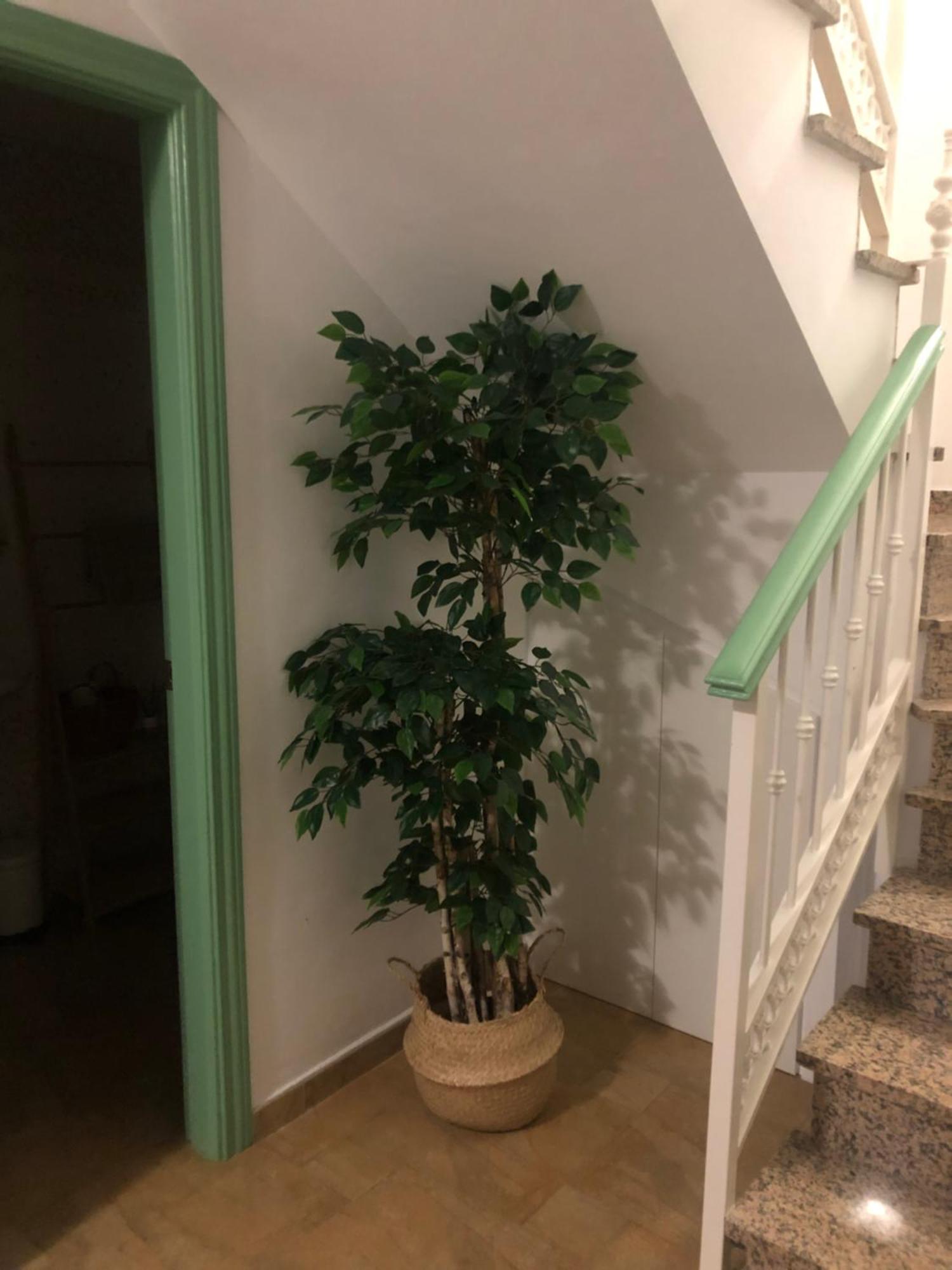 Duplex Penthouse "Playa Y Palmeras" Benalmádena Zewnętrze zdjęcie